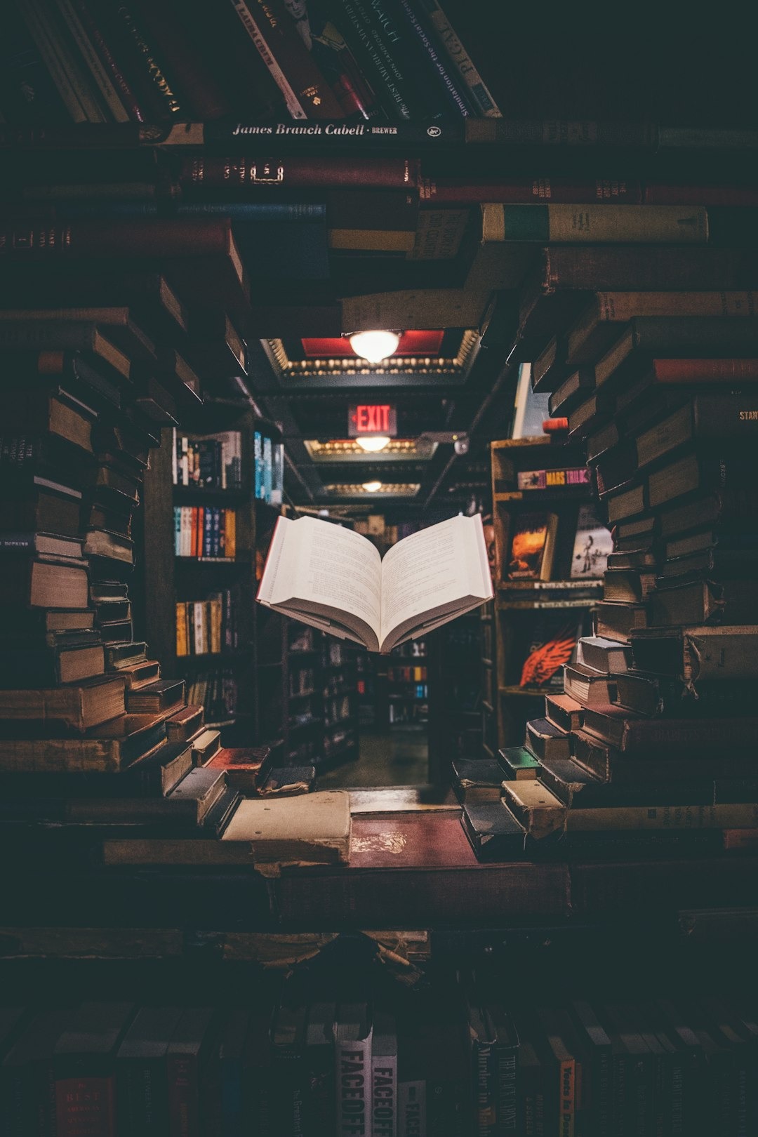 Enhancing Decision-Making Through Cognitive Insights